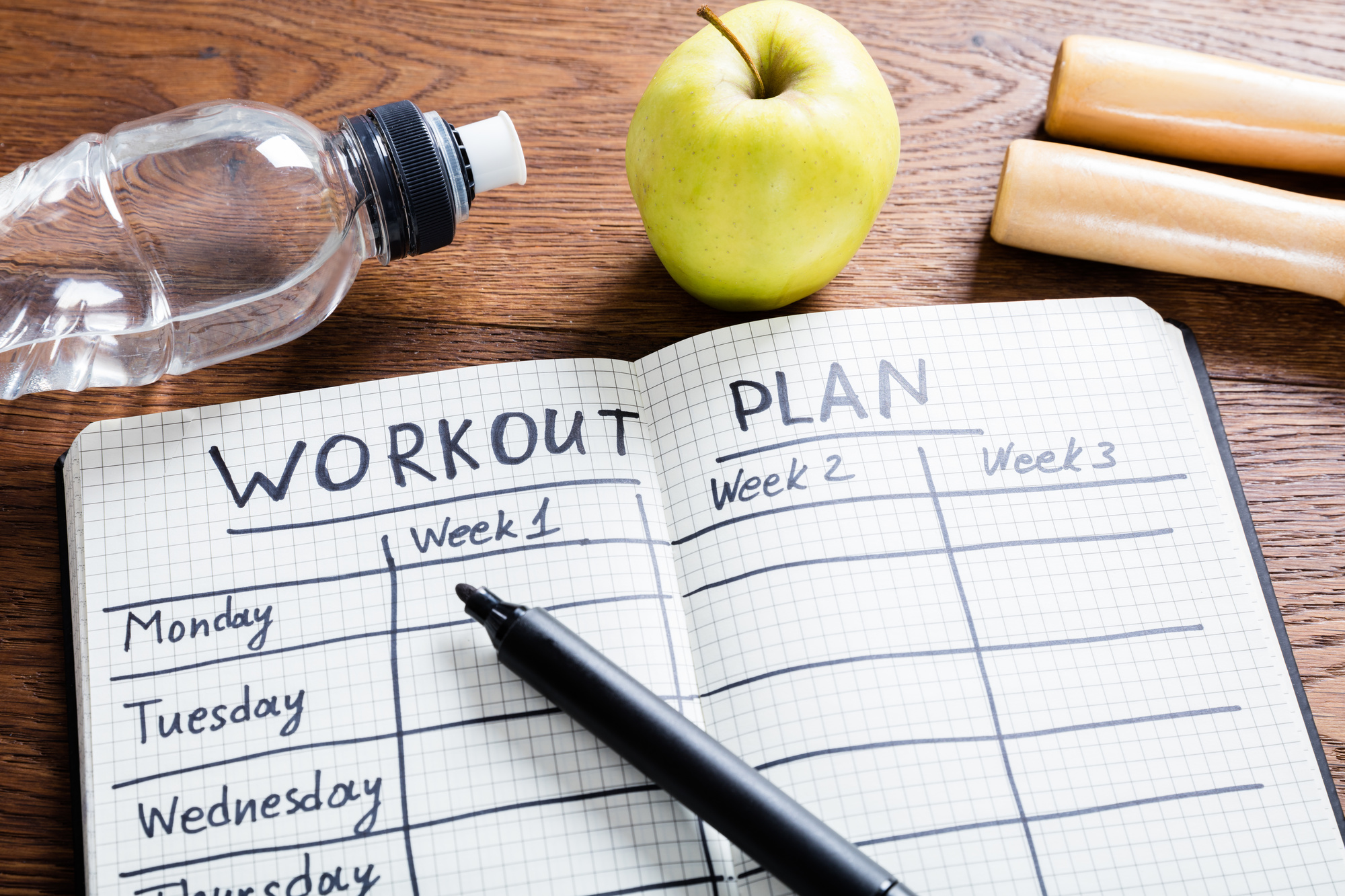 WORKOUT PLAN