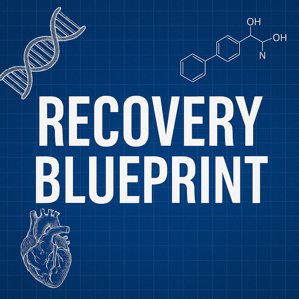 RECOVERY BLUEPRINT COURSE
