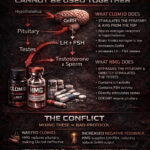 Why HMG and Clomid Should Not Be Used Together